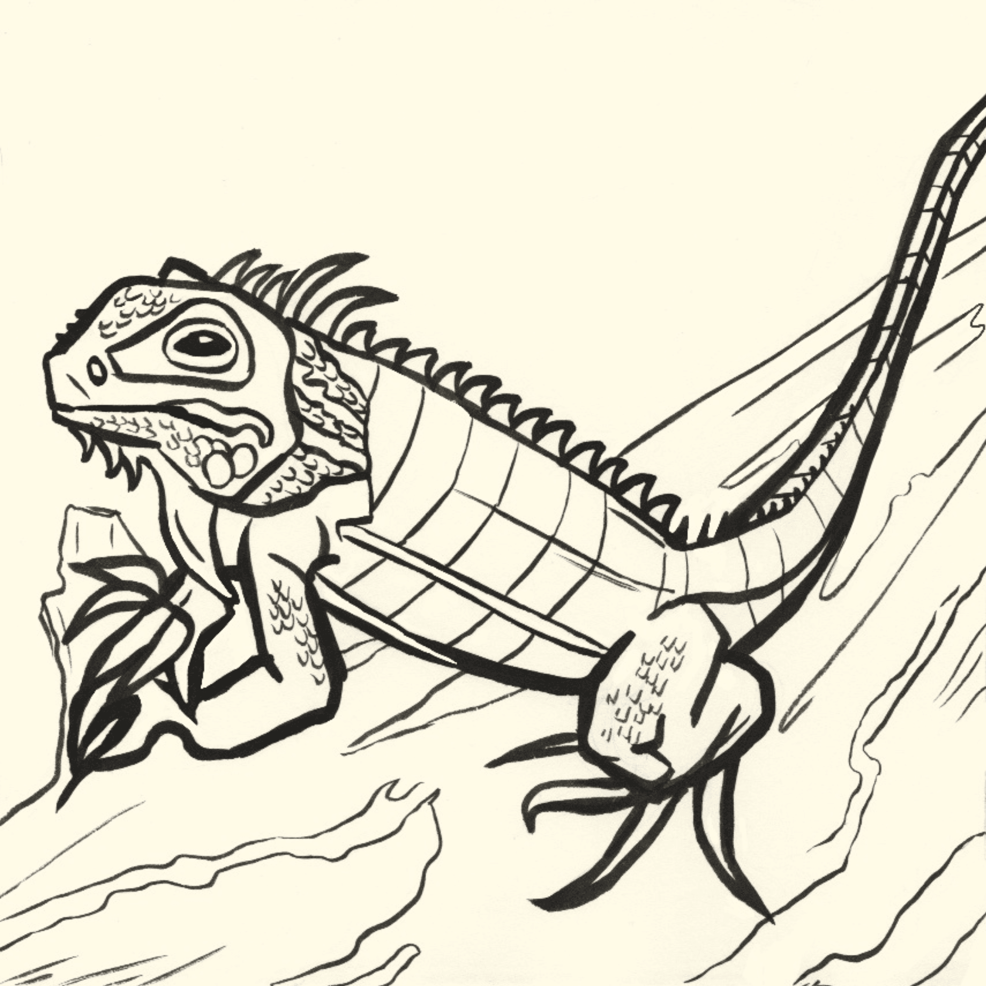 Iguana